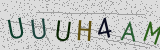 Défi visuel du captcha