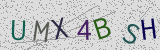 Défi visuel du captcha